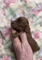 processed/8559f838-76f9-4326-af81-502b912478eb/listing/39591d60-af64-464e-8871-4ca8eb68509d/c1b26c94-82fe-4527-98e9-1ead885f92f5