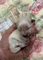 processed/8559f838-76f9-4326-af81-502b912478eb/listing/4f92e535-8933-43b8-b569-feb74ba13a9e/45f73a00-2abf-44c4-84be-77c212639972