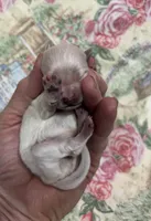 processed/8559f838-76f9-4326-af81-502b912478eb/listing/4f92e535-8933-43b8-b569-feb74ba13a9e/65a3a4a2-2403-47c9-ad16-699ce9b2ccb4