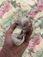 processed/8559f838-76f9-4326-af81-502b912478eb/listing/4f92e535-8933-43b8-b569-feb74ba13a9e/872959e0-3a7f-4509-bc15-962d3bf4249f