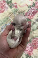 processed/8559f838-76f9-4326-af81-502b912478eb/listing/4f92e535-8933-43b8-b569-feb74ba13a9e/c0e4b7b8-78fe-4d06-9f90-0130ab63396e