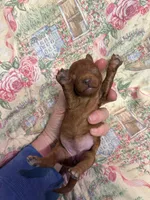 processed/8559f838-76f9-4326-af81-502b912478eb/listing/985f9c65-82c9-4ed5-8d51-a500c8b4a569/114211a6-2439-45d4-9c69-d1a627fc3f36