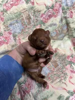 processed/8559f838-76f9-4326-af81-502b912478eb/listing/985f9c65-82c9-4ed5-8d51-a500c8b4a569/77326e55-fc45-4ae6-903c-44f9d7365ec5