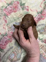 processed/8559f838-76f9-4326-af81-502b912478eb/listing/985f9c65-82c9-4ed5-8d51-a500c8b4a569/77d0d9db-1b05-4c1a-a1a1-f6ac9bc7712b