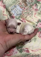 processed/8559f838-76f9-4326-af81-502b912478eb/listing/af450806-ab01-4226-8fb7-b5980a533cce/54151fc5-e852-451f-b6a3-d979275b1b8b