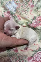 processed/8559f838-76f9-4326-af81-502b912478eb/listing/af450806-ab01-4226-8fb7-b5980a533cce/d5b5bf5b-beb3-4213-b8c7-794fd7a0f36e