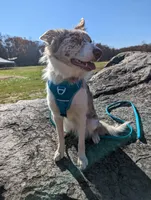 processed/855ae103-a41b-4746-bbec-d35355accd18/listing/f1bc43ca-d0c8-4d47-99ac-bb80927d9427/476272d0-52e2-4df9-8615-c896af482378