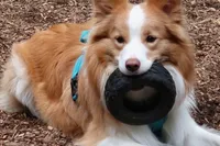 processed/855ae103-a41b-4746-bbec-d35355accd18/listing/f1bc43ca-d0c8-4d47-99ac-bb80927d9427/88698eb2-cfd0-4383-936d-e7cd57d0c9d0