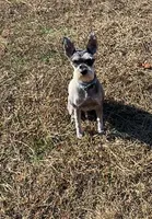 processed/8561ca26-27f1-4022-98db-d7a216ca1127/listing/c2fe8e27-16d7-417b-82a8-f03f59aa6878/18ac4447-3ced-417a-93fd-c2bf4cd9ea6b