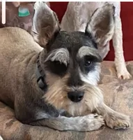 processed/8561ca26-27f1-4022-98db-d7a216ca1127/listing/c2fe8e27-16d7-417b-82a8-f03f59aa6878/cc8a7c80-01b2-482b-8aa4-a82d3e75156b