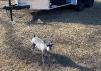 processed/8561ca26-27f1-4022-98db-d7a216ca1127/listing/c2fe8e27-16d7-417b-82a8-f03f59aa6878/eade1264-5e0d-4f12-b715-72ed51633269