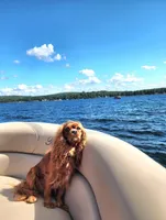 processed/85638726-0ac2-4fe9-ac1b-4ced3fa310c9/facility/49de7ba8-e8a1-4f2c-90e6-59ae1464fc6a