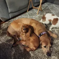 processed/85638726-0ac2-4fe9-ac1b-4ced3fa310c9/facility/b6200cb1-f64c-4f77-9563-376ce55d75b8