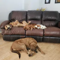 processed/85638726-0ac2-4fe9-ac1b-4ced3fa310c9/facility/d3da6698-2408-4883-b1e9-b8bedf686a07