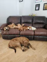 processed/85638726-0ac2-4fe9-ac1b-4ced3fa310c9/facility/d3da6698-2408-4883-b1e9-b8bedf686a07