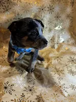 processed/857a27b8-664d-4980-a07c-34bd84c935a2/listing/b6270ec7-5425-40a0-a147-64eecd8dcf15/04b1cf72-1c9e-4740-8557-a1024bcc8b51