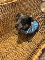 processed/857a27b8-664d-4980-a07c-34bd84c935a2/listing/b6270ec7-5425-40a0-a147-64eecd8dcf15/3fdb4120-2d98-41a8-ad07-5db286dbfa34