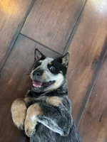 processed/857a27b8-664d-4980-a07c-34bd84c935a2/listing/b6270ec7-5425-40a0-a147-64eecd8dcf15/928486d7-cdde-4b6f-a03d-941e4440a172