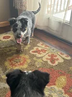 processed/857a27b8-664d-4980-a07c-34bd84c935a2/listing/b6270ec7-5425-40a0-a147-64eecd8dcf15/a6b727d4-8c0b-4eb6-9ecf-cab276a67f23