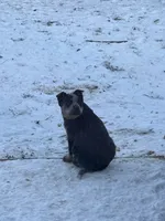 processed/857a27b8-664d-4980-a07c-34bd84c935a2/listing/b6270ec7-5425-40a0-a147-64eecd8dcf15/a83f486e-e13a-433e-98df-b1d9c4b3423f