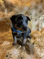 processed/857a27b8-664d-4980-a07c-34bd84c935a2/listing/b6270ec7-5425-40a0-a147-64eecd8dcf15/d3f38a98-25d0-4882-b076-0cc47151696f