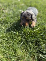 processed/857b7ad2-1100-4ea9-8b1b-4489045fe58c/listing/a232ad76-929a-42e8-8f07-7597b35ce102/453a2f0f-8169-4171-9f18-9e945bf2ec2d