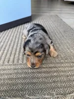 processed/857b7ad2-1100-4ea9-8b1b-4489045fe58c/listing/a232ad76-929a-42e8-8f07-7597b35ce102/5aad47f9-4774-4293-a3dc-89400b69ccdc