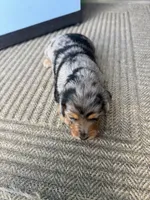 processed/857b7ad2-1100-4ea9-8b1b-4489045fe58c/listing/a232ad76-929a-42e8-8f07-7597b35ce102/8c85f17c-fefd-4139-b93d-3abaf951f4ed