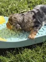 processed/857b7ad2-1100-4ea9-8b1b-4489045fe58c/listing/a232ad76-929a-42e8-8f07-7597b35ce102/92afec10-5d64-463c-91b4-8c49a337aa24