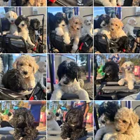 processed/8587ac2d-918b-490b-970a-2fdacd3558c7/facility/0e4964f7-e8ee-4ea4-abab-2864fcabfd5b