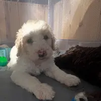 processed/8587ac2d-918b-490b-970a-2fdacd3558c7/facility/35acb064-5e2d-48c4-8ec3-f2504c0abba4