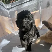 processed/8587ac2d-918b-490b-970a-2fdacd3558c7/facility/562eff3f-c087-4fb8-bc3a-07301ce8ccb3