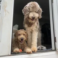 processed/8587ac2d-918b-490b-970a-2fdacd3558c7/facility/6b2762be-34ef-487f-a899-cd6589d3fe14