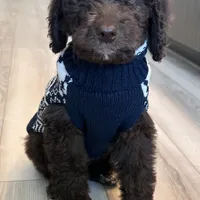 processed/8587ac2d-918b-490b-970a-2fdacd3558c7/facility/70e81ccc-840c-42f4-bb56-0e0f8027fce4