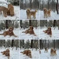 processed/8587ac2d-918b-490b-970a-2fdacd3558c7/facility/72834341-1d7f-455c-824e-6090d9ccef59