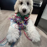 processed/8587ac2d-918b-490b-970a-2fdacd3558c7/facility/8cfcf819-7c7e-4b50-9d27-9463c9788ddb