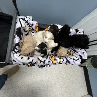 processed/8587ac2d-918b-490b-970a-2fdacd3558c7/facility/d79b5820-93c7-4abd-a031-25a137396413