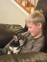 processed/8590ab96-85c4-445f-9bc6-863862f022be/facility/0a2e6fba-cf7a-4cca-8b88-1a777f5dda84