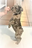 processed/8590ab96-85c4-445f-9bc6-863862f022be/facility/ce208e1a-5339-4ea4-96ee-0044bd9b0a0d