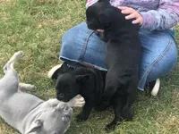 processed/8590ab96-85c4-445f-9bc6-863862f022be/facility/d57af832-7cd7-469d-9398-ebbc9d75fca7