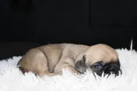 processed/85955739-728a-418c-8134-1d50edc90c76/listing/28921ea0-c1f3-4815-b646-3be824d516ba/0fca1b9a-86bd-4236-8e6e-45e538aede63