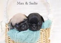 processed/85955739-728a-418c-8134-1d50edc90c76/listing/28921ea0-c1f3-4815-b646-3be824d516ba/1209a2a2-379b-49e8-84f2-b9c2c6eb8368