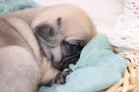 processed/85955739-728a-418c-8134-1d50edc90c76/listing/28921ea0-c1f3-4815-b646-3be824d516ba/409b439c-3067-4166-97c6-158da725e069