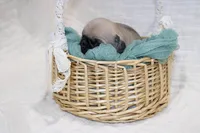 processed/85955739-728a-418c-8134-1d50edc90c76/listing/28921ea0-c1f3-4815-b646-3be824d516ba/74190c18-85d1-4d25-9cd4-a41742df38c6