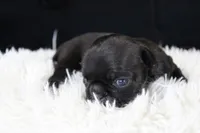 processed/85955739-728a-418c-8134-1d50edc90c76/listing/77de1448-0485-45b6-8041-436635aba49a/5c8cf726-c917-4c10-bdd9-a4d878f7e3f3