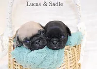 processed/85955739-728a-418c-8134-1d50edc90c76/listing/bb23c159-f49f-4346-9f85-bc3a5e87d969/114e11ed-d7de-43ce-9ddd-ab9465f47ec8