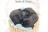 processed/85955739-728a-418c-8134-1d50edc90c76/listing/bb23c159-f49f-4346-9f85-bc3a5e87d969/6563f5bb-655d-413c-9919-41effbd12012