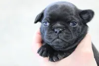 processed/85955739-728a-418c-8134-1d50edc90c76/listing/bb23c159-f49f-4346-9f85-bc3a5e87d969/8a4c4660-fadc-413f-978b-42fb2925f631