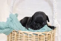 processed/85955739-728a-418c-8134-1d50edc90c76/listing/bb23c159-f49f-4346-9f85-bc3a5e87d969/aa2ba041-0bc5-482e-8dd1-3555cc7d0bd6