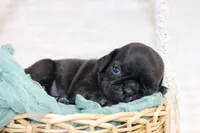 processed/85955739-728a-418c-8134-1d50edc90c76/listing/bb23c159-f49f-4346-9f85-bc3a5e87d969/ce33967c-42e2-45a8-8183-c6bf11a37443